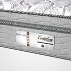 Conjunto Cama E Box Evolution Plw Euro 58x198x158cm Prodormir