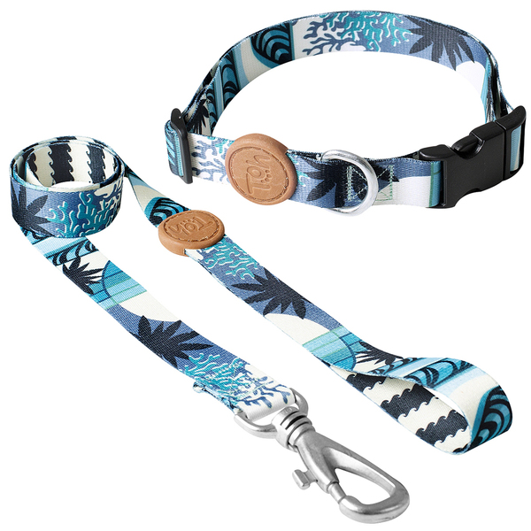 Conjunto Coleira E Guia Tamanho P Azul Noronha