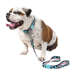 Conjunto Coleira E Guia Tamanho P Verde Savana