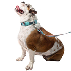 Conjunto Coleira E Guia Tamanho P Verde Savana