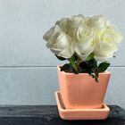 Conjunto Com 18 Hastes De Rosas Brancas Artificial No Estilo