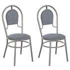 Conjunto Com 2 Cadeiras Hobart Cinza E Cromado