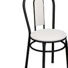 Conjunto Com 2 Cadeiras Natureza Preto E Branco