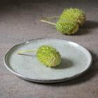 Conjunto Com 6 Pratos De Sobremesa Bio Pistache Ø21,5cm - Por