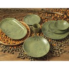 Conjunto Com 6 Pratos Fundo Coup Palm Tree Olive Ø25cm