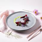 Conjunto Com 6 Pratos Raso Bio Dust Ø27,5cm