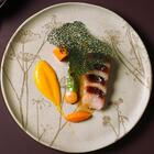 Conjunto Com 6 Pratos Raso Bio Stoneware Cyperus Ø27,5cm - Po