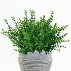 Conjunto Com 9 Mini Buquês De Eucalipto Artificial 33x18cm -