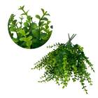 Conjunto Com 9 Mini Buquês De Eucalipto Artificial 33x18cm -