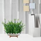 Conjunto Com 9 Mini Buquês De Eucalipto Artificial 33x18cm -