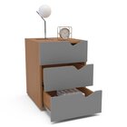 Conjunto Com Guarda-roupa, Cômoda Com Espelho E Gaveteiro Por