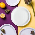 Conjunto De 12 Pratos Rasos Para Refeições De Porcelana Iguaç