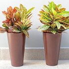 Conjunto De 15 Vasos Cônico Aldora 45 Afort Marrom