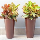 Conjunto De 15 Vasos Cônico Aldora 45 Afort Marrom