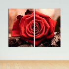 Conjunto De 2 Telas Decorativa Rosa