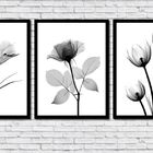 Conjunto De 3 Quadros Flores Minimalistas Plantas Pretas 45x6