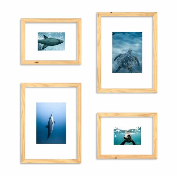 Conjunto De 4 Quadros Decorativos Premium Animais Marinho Cru