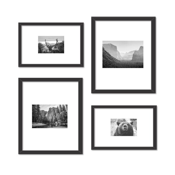 Conjunto De 4 Quadros Decorativos Premium Maravilhas Da Natur