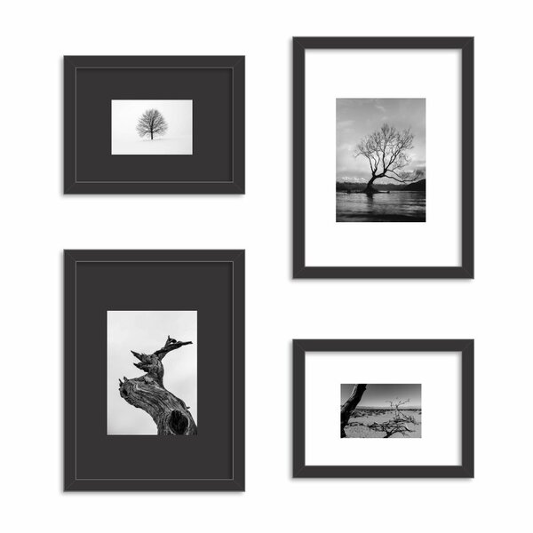 Conjunto De 4 Quadros Decorativos Premium Natureza Preto E Br