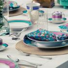 Conjunto De 6 Pratos Fundos 23,5cm Flamingo Joia Brasileira