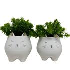 Conjunto De Cachepô Gatinhos Com Suculenta