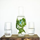 Conjunto De Copos De Cristal Para Água 4 Peças 350 Ml + 01 Ja