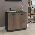 Conjunto De Escritório Lilia Castanho Preto