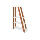 Conjunto De Escrivaninha Com Estante De Escritório Gold Star