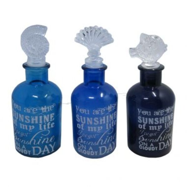 Conjunto De Garrafas De Acrlico Azul  3pcs 6 8cm X 13cm