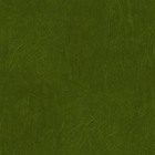 Conjunto De Poltronas Fibra Sintética Bali Alumínio - 4 Poltr