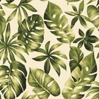 Conjunto De Poltronas Fibra Sintética Sônia - 4 Poltronas + 1