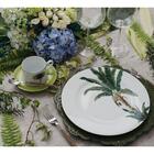 Conjunto De Pratos Fundos 06 Peças Palmeiras Schmidt