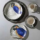 Conjunto De Pratos Rasos 06 Peças Coup Arara Porto Brasil