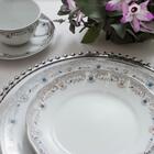 Conjunto De Pratos Rasos 06 Peças Saint German Schmidt