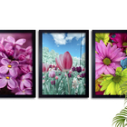 Conjunto De Quadros 60x40 Com Moldura Flores Rosas