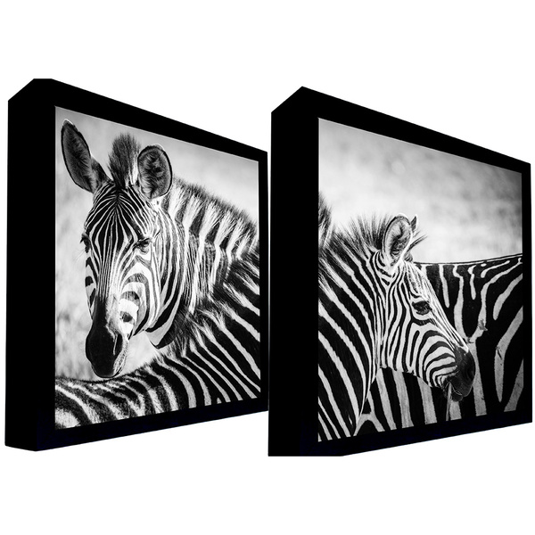 Conjunto De Quadros Decorativos 135x135 Cm Zebra 022 Com Mold