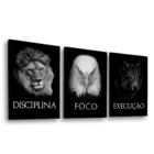 Conjunto De Quadros Trio Disciplina, Foco E Execução