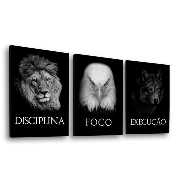 Conjunto De Quadros Trio Disciplina, Foco E Execução