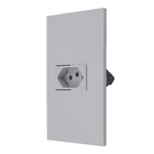 Conjunto de Tomada de Energia 2P+T 10A 4x2 Cinza Pial Plus+