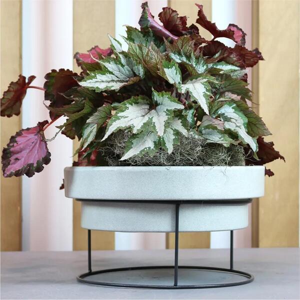 Conjunto De Vaso De Polietileno Com Suporte Loft Ii Branco An