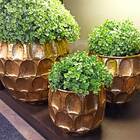 Conjunto De Vasos De Metal Dourado  3pcs