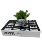 Conjunto Decor Livro E Vaso De Vidro Trabalhado Com Planta