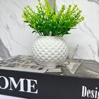 Conjunto Decoração Livro Home Design + Vaso Branco Cerâmico