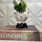 Conjunto Decoração Livro Londres + Vaso Cachepot Gatinho