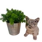 Conjunto Decorativo Bulldog Cerâmico Rose E Vaso Com Planta