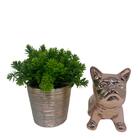 Conjunto Decorativo Bulldog Cerâmico Rose E Vaso Com Planta