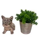 Conjunto Decorativo Bulldog Cerâmico Rose E Vaso Com Planta