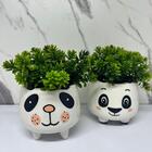 Conjunto Decorativo Cachepot Urso Panda De Cerâmica Com Pé