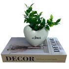 Conjunto Decorativo Livro 'decor' E Vaso Coração De Cerâmica