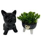 Conjunto Decorativo Vaso De Bolinha E Bulldog Preto Cerâmico